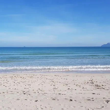 Ideal Mallorca - Vallespir *